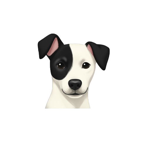 Ícone do jogo Raika Endless Runner